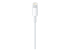 Apple - Lightning cable - Front